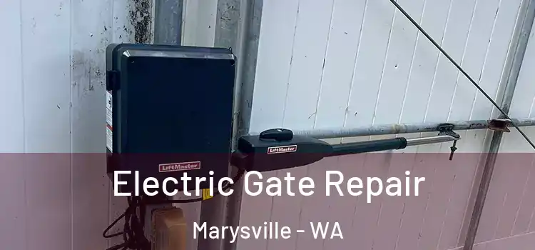 Electric Gate Repair Marysville - WA