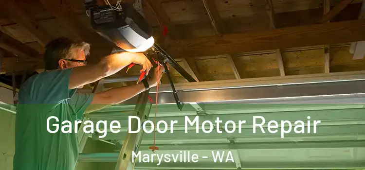  Garage Door Motor Repair Marysville - WA