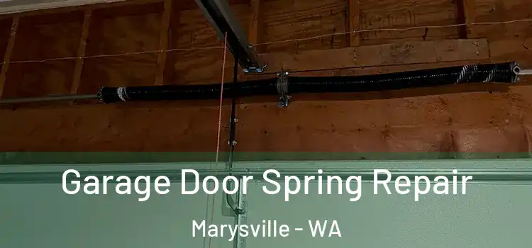  Garage Door Spring Repair Marysville - WA