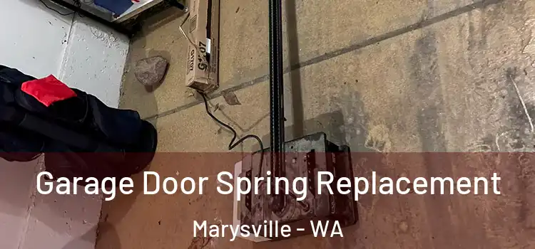  Garage Door Spring Replacement Marysville - WA