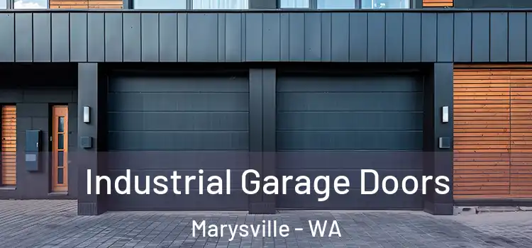  Industrial Garage Doors Marysville - WA