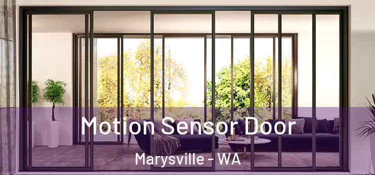  Motion Sensor Door Marysville - WA
